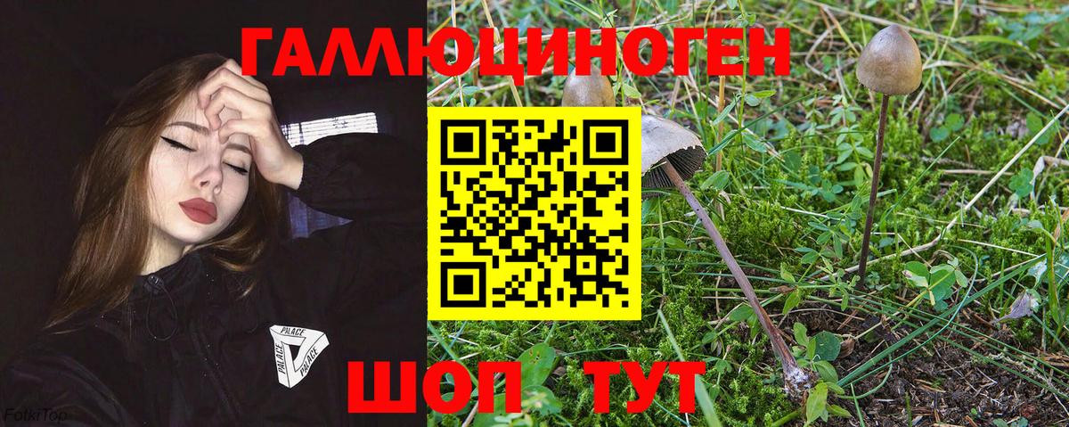 Кондопога  цены   Вход с VPN  Галлюциногенные грибы MAGIC MUSHROOMS 